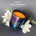 Picture of TEAK MAHOGANY | TALENT CANDLES Strong Scented Candle, Natural Soy Aromatherapy Candles, Enjoy Collection of Jar Candle, 30 Hours Burn Time